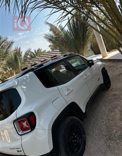 جيب رينيجيد